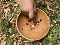 a bowl of seeds is placed on the grass. Someone's hand is removing a seed from the bowl. 