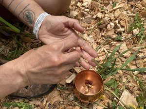 a metal container sits on the earth, containing seeds. A pair of hands are nearby, sorting some seeds.